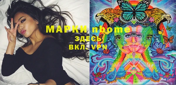 индика Вязники