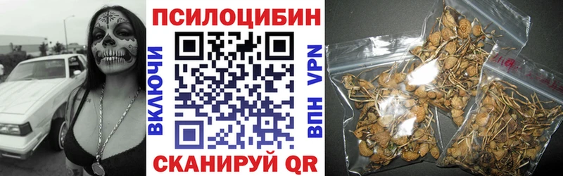 Купить  Димитровград  Галлюциногенные грибы Psilocybine cubensis 